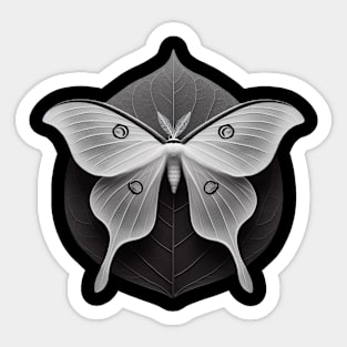 Chinese moon moth Sticker